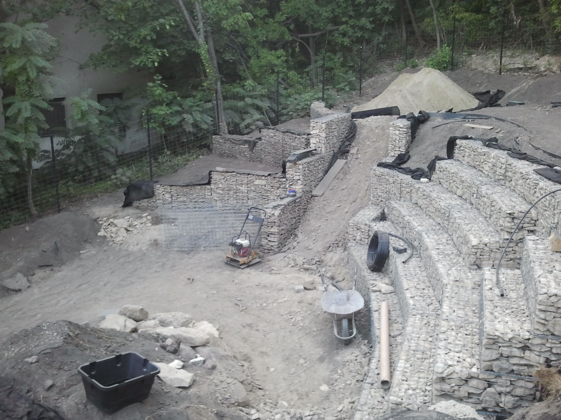 Modern gabion támfal kertben, sziklakerti növényekkel